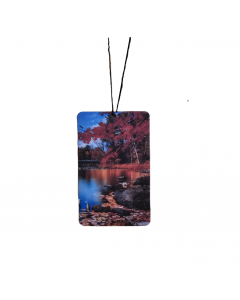 Scented Hanging Card | Air freshener | Black ice