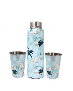Premium Stainless Steel bottle | Drinking Glass | 1000 ml |  02 X 250ml -Blue Crane