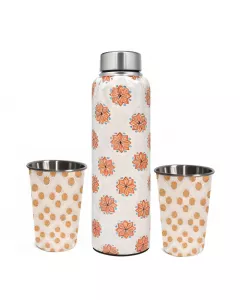 Premium Stainless Steel bottle | Drinking Glass | 1000 ml |  02 X 250ml -Lotus Orange