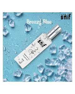 Breezy Blue Spray Car Freshener 